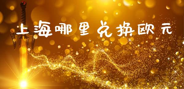 上海哪里兑换欧元_https://wap.apzhendong.com_投资理财_第1张
