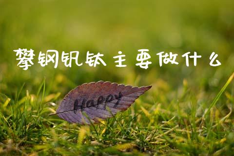 攀钢钒钛主要做什么_https://wap.apzhendong.com_期货直播_第1张