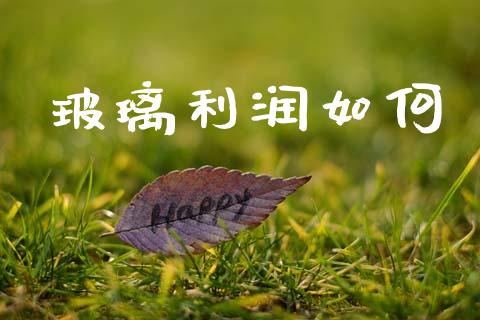 玻璃利润如何_https://wap.apzhendong.com_今日财经_第1张