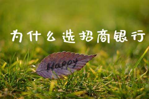 为什么选招商银行_https://wap.apzhendong.com_投资理财_第1张