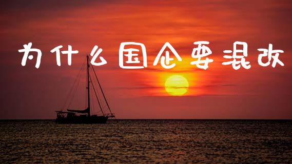为什么国企要混改_https://wap.apzhendong.com_期货直播_第1张
