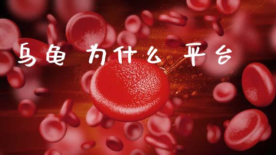 乌龟 为什么 平台_https://wap.apzhendong.com_美股行情_第1张