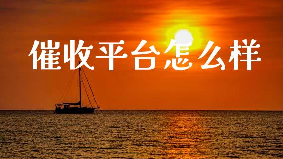 催收平台怎么样_https://wap.apzhendong.com_美股行情_第1张