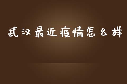 武汉最近疫情怎么样_https://wap.apzhendong.com_期货直播_第1张