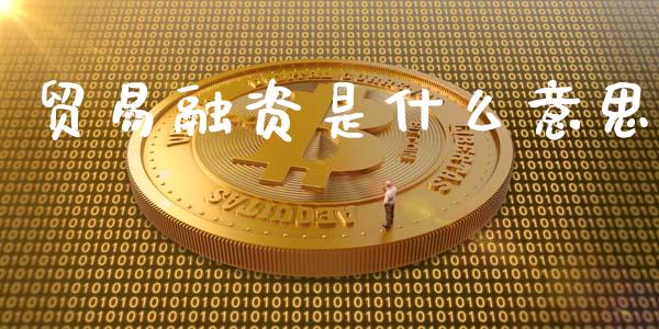 贸易融资是什么意思_https://wap.apzhendong.com_美股行情_第1张