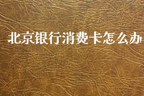 北京银行消费卡怎么办_https://wap.apzhendong.com_美股行情_第1张