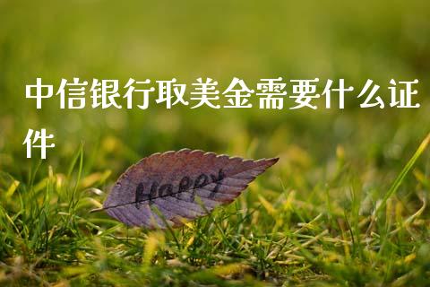中信银行取美金需要什么证件_https://wap.apzhendong.com_今日财经_第1张