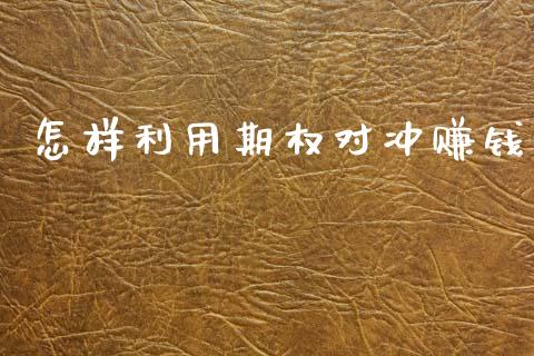 怎样利用期权对冲赚钱_https://wap.apzhendong.com_美股行情_第1张