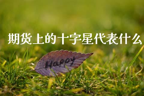 期货上的十字星代表什么_https://wap.apzhendong.com_今日财经_第1张