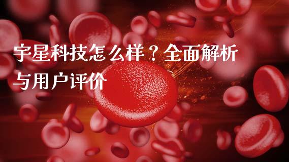 宇星科技怎么样？全面解析与用户评价_https://wap.apzhendong.com_投资理财_第1张