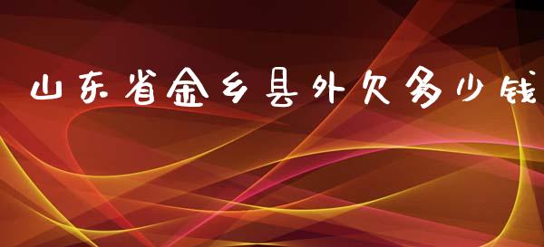 山东省金乡县外欠多少钱_https://wap.apzhendong.com_投资理财_第1张