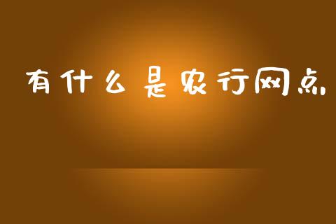 有什么是农行网点_https://wap.apzhendong.com_投资理财_第1张