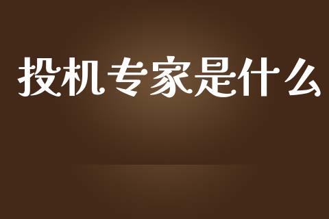 投机专家是什么_https://wap.apzhendong.com_今日财经_第1张