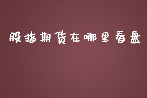 股指期货在哪里看盘_https://wap.apzhendong.com_投资理财_第1张