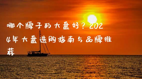 哪个牌子的大盘好？2024年大盘选购指南与品牌推荐_https://wap.apzhendong.com_今日财经_第1张