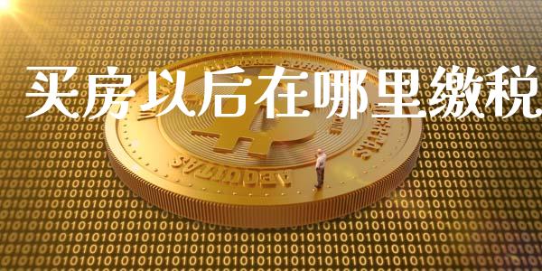 买房以后在哪里缴税_https://wap.apzhendong.com_美股行情_第1张