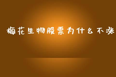 梅花生物股票为什么不涨_https://wap.apzhendong.com_期货直播_第1张