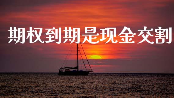 期权到期是现金交割_https://wap.apzhendong.com_期货直播_第1张