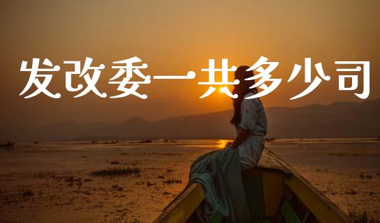 发改委一共多少司_https://wap.apzhendong.com_期货直播_第1张