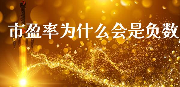 市盈率为什么会是负数_https://wap.apzhendong.com_美股行情_第1张