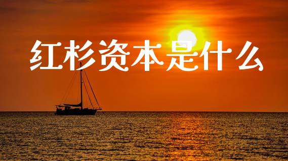 红杉资本是什么_https://wap.apzhendong.com_期货直播_第1张