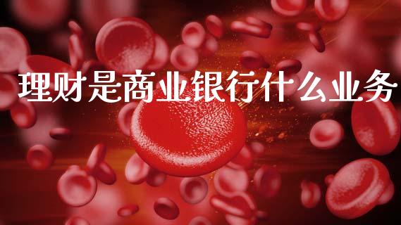 理财是商业银行什么业务_https://wap.apzhendong.com_投资理财_第1张