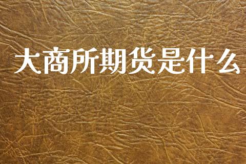 大商所期货是什么_https://wap.apzhendong.com_今日财经_第1张