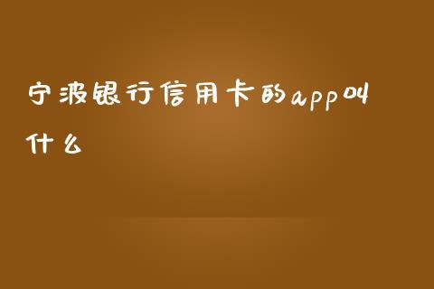 宁波银行信用卡的app叫什么_https://wap.apzhendong.com_投资理财_第1张
