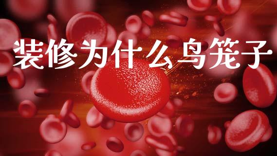 装修为什么鸟笼子_https://wap.apzhendong.com_投资理财_第1张