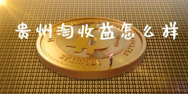 贵州淘收益怎么样_https://wap.apzhendong.com_美股行情_第1张