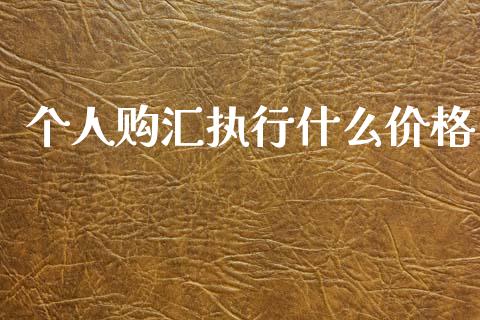 个人购汇执行什么价格_https://wap.apzhendong.com_今日财经_第1张