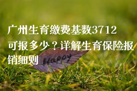 广州生育缴费基数3712可报多少？详解生育保险报销细则_https://wap.apzhendong.com_投资理财_第1张