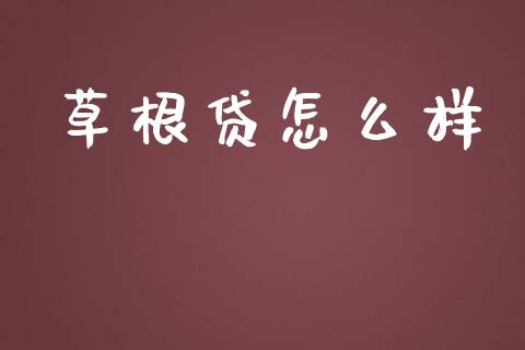 草根贷怎么样_https://wap.apzhendong.com_今日财经_第1张