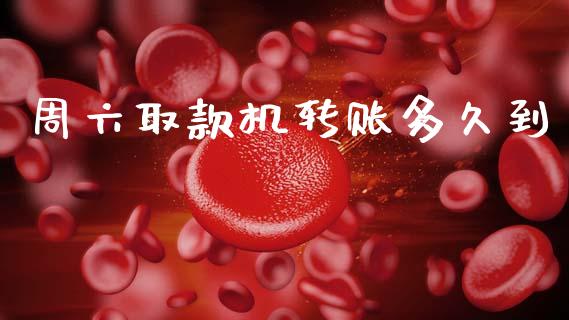 周六取款机转账多久到_https://wap.apzhendong.com_今日财经_第1张