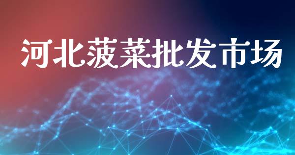 河北菠菜批发市场_https://wap.apzhendong.com_期货直播_第1张