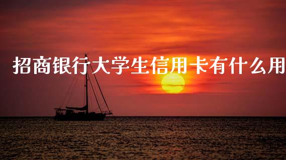 招商银行大学生信用卡有什么用_https://wap.apzhendong.com_美股行情_第1张