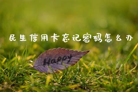 民生信用卡忘记密码怎么办_https://wap.apzhendong.com_期货直播_第1张
