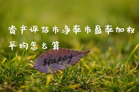 资产评估市净率市盈率加权平均怎么算_https://wap.apzhendong.com_期货直播_第1张