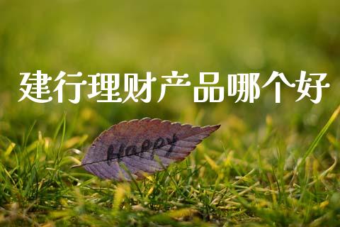 建行理财产品哪个好_https://wap.apzhendong.com_期货直播_第1张