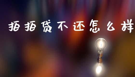 拍拍贷不还怎么样_https://wap.apzhendong.com_美股行情_第1张