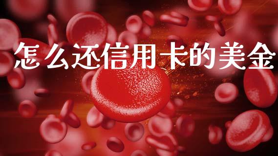 怎么还信用卡的美金_https://wap.apzhendong.com_期货直播_第1张