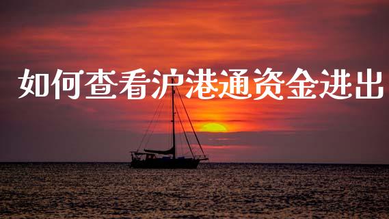 如何查看沪港通资金进出_https://wap.apzhendong.com_美股行情_第1张