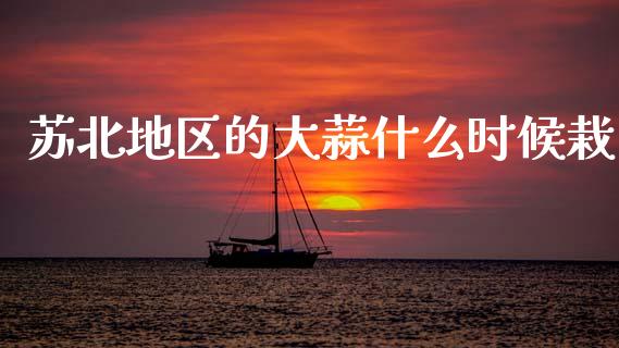 苏北地区的大蒜什么时候栽_https://wap.apzhendong.com_今日财经_第1张
