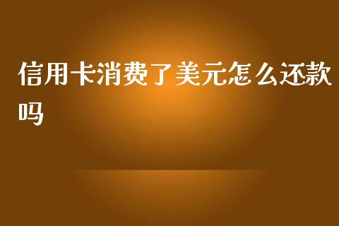 信用卡消费了美元怎么还款吗_https://wap.apzhendong.com_今日财经_第1张