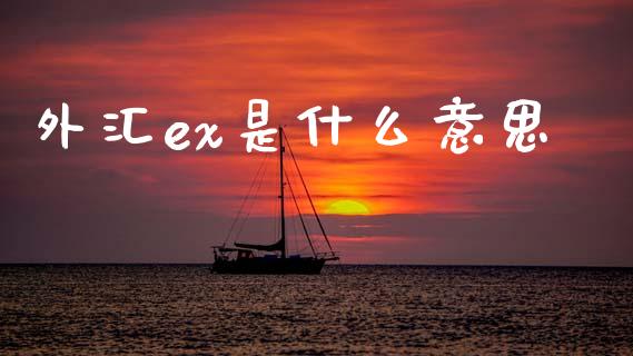 外汇ex是什么意思_https://wap.apzhendong.com_美股行情_第1张