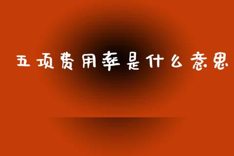 五项费用率是什么意思_https://wap.apzhendong.com_今日财经_第1张