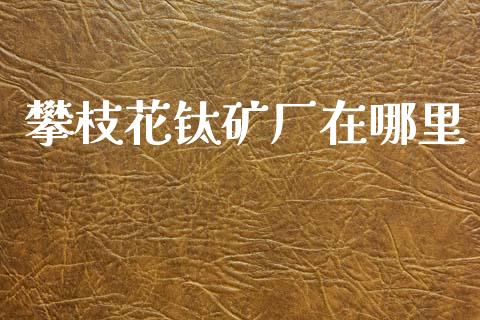 攀枝花钛矿厂在哪里_https://wap.apzhendong.com_美股行情_第1张