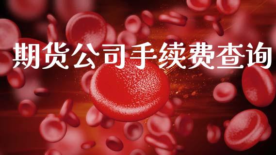期货公司手续费查询_https://wap.apzhendong.com_期货直播_第1张