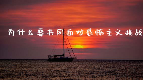 为什么要共同面对恐怖主义挑战_https://wap.apzhendong.com_投资理财_第1张