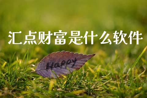 汇点财富是什么软件_https://wap.apzhendong.com_期货直播_第1张